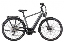 Pegasus Fahrräder PEGASUS Premio EVO 10 Lite Herren E-Bike Pedelec 2021, Farbe:Chrom, Rahmenhöhe:50 cm, Akku:500 Wh
