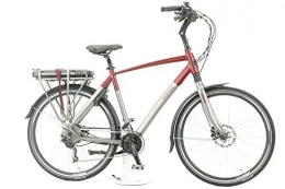 POPAL Fahrräder Popal E-Volution 14.0 Pedelec / E-Bike 20-Gang 14, 5 Ah Herrenfahrrad 20 Gang Kettenschaltung grau matt Joycube