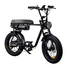 PANDA CYCLE Elektrofahrräder Power Assisted Electric Bicycles Electric Bicycle 20 Inch Trekking Bike E-City Bike with 48 V Lithium Battery, LCD Display-Black