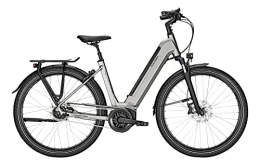 Derby Cycle Fahrräder Raleigh Bristol XXL 625Wh Bosch Elektro City Bike 2022 (28" Wave XL / 58cm, Steelgrey Matt (Wave))