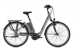 Raleigh Fahrräder RALEIGH Corby 8 Shimano Steps Elektro Fahrrad 2020 (45 cm, Torontogrey Glossy)