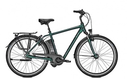 Raleigh Fahrräder RALEIGH Dover XXL Rücktritt 17Ah Herren E-Bike Cityrad kombugreen matt 2019 RH 55 cm / 28 Zoll