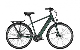 Raleigh Fahrräder RALEIGH Sheffield 8, 8 Gang Nabenschaltung, Herrenfahrrad, Diamant, Modell 2020, 28 Zoll, kombugreen matt, 48 cm