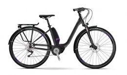 RAYMON Fahrräder RAYMON E-Citray 2.0 Pedelec E-Bike City Fahrrad schwarz / grn 2019: Gre: 46cm