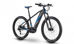 RAYMON Fahrräder RAYMON E-Nineray 8.0 29'' Pedelec E-Bike MTB grau / blau 2019: Größe: 55cm