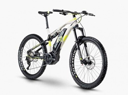 R Raymon  RAYMON Fullray E-Nine 5.0 29'' Pedelec E-Bike MTB grau / grün 2020: Größe: 46 cm