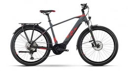 RAYMON Fahrräder RAYMON Tourray E 8.0 Pedelec E-Bike Trekking Fahrrad grau / rot 2021: Größe: 56 cm / L