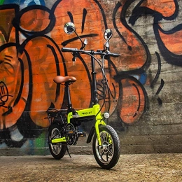 RICH BIT Fahrräder RICH BIT RT-619 Elektrisches Klapprad - 14 Zoll E-Bike Tragbar und einfach zu speichern .10.2Ah Lithium-Ionen-Akku und 250W Silent Motor eBike, mit LCD-Geschwindigkeitsanzeige und Gashebel (Grün)