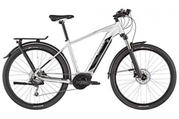 Serious Fahrräder SERIOUS Leeds 29" Silver / Black Rahmenhöhe 44cm 2020 E-Cityrad