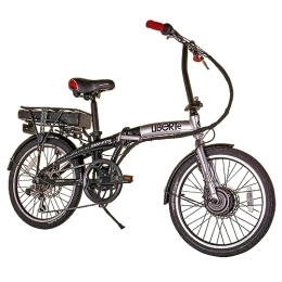 Swifty Elektrofahrräder Swifty Unisex-Adult Liberte 20inch Folding e Bike, Black, one Size