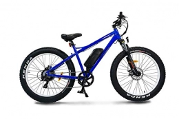 Varaneo Elektrofahrräder Varaneo E-Bike Fatbike 250W 25km / h 522Wh Pedelec 7 Gang mechanische Scheibenbremse Kenda Bereifung (Blau)
