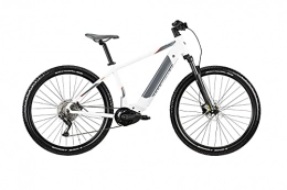 WHISTLE Elektrofahrräder WHISTLE 2021 E-Bike B-Race A7.1 10 V Bosch Motor Größe S40 (150 cm bis 170 cm)
