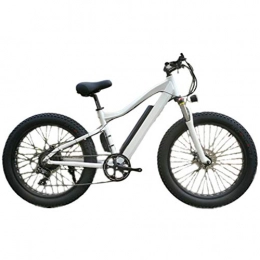 Ylight Fahrräder Ylight 26 Zoll Elektrisches Mountainbike Lithium Batterie Fahrrad Erwachsener Reisegeschwindigkeit Elektrisches Fahrrad 250W