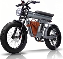 YYG Fahrräder YYG E Bike Elektrofahrrad 20 Zoll Ebike 500W 20km / h, entfernbare Batterie 48V / 20Ah, Fetter Reifen Pendler elektrisches Fahrrad, Dual Suspension Motorräder Schwarz