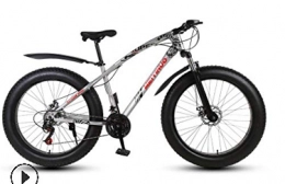 peipei Fahrräder 26 Zoll Doppelscheibenbremse breiter Reifen Variable Geschwindigkeit Erwachsenen Mountainbike Fat Bike-1_Zwanzig