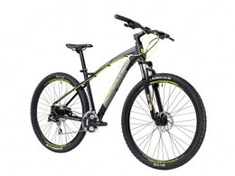 Cicli Adriatica Fahrräder 29 Zoll Herren Mountainbike 24 Gang Adriatica Wing RS, Farbe:schwarz-gelb, Rahmengröße:46cm