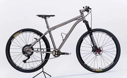 ATCN Fahrräder ATCN Titanium Bike für Erwachsen und Jungen (46, 29)