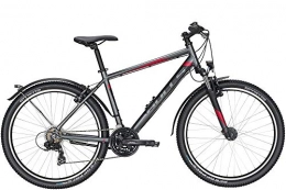 ZEG Fahrräder Bulls Wildtail Street 26 Zoll Herrenfahrrad 18 Gang Kettenschaltung 2020, Rahmenhöhe:51 cm, Farbe:grau