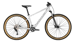 Derby Cycle Fahrräder Focus Whistler 3.8 Mountain Bike (27.5" XS / 34cm, Light Grey)