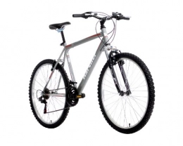 Karcher Mountainbike Karcher MTB Hardtail Fahrrad, 21-Gang Kettenschaltung mit Federgabel, granit matt, Rahmenhöhe: 48 cm, Reifengröße: 26 Zoll (66 cm), 280095