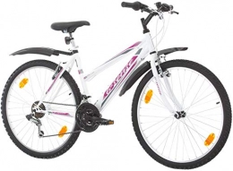 Multibrand Fahrräder Multibrand, PROBIKE 26 Zoll, Mountainbike (Rosa+Kotflügel)