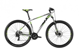 RAYMON Mountainbike RAYMON Nineray 1.0 29'' MTB Fahrrad grau / grün 2019: Größe: 52cm