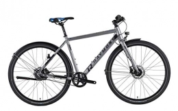 RAYMON Fahrräder RAYMON Urbanray 2.0 City Fahrrad grau 2019: Größe: 52cm