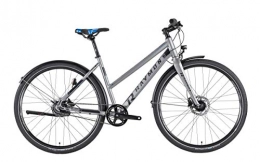 RAYMON Fahrräder RAYMON Urbanray 2.0 Damen City Fahrrad grau 2019: Größe: 52cm