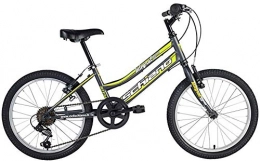Schiano Fahrräder SCHIANO Integral 20 Zoll 28 cm Mädchen 6G Felgenbremse Anthrazit