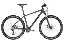 Serious Mountainbike SERIOUS Provo Trail schwarz Rahmenhöhe 50cm 2021 MTB Hardtail
