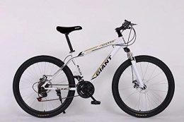 TXX Fahrräder TXX Mountainbike Speed ​​Bike, Mountainbike Version Für Erwachsene, Kohlenstoffstahl-Bike, City-Bike Das Gesamte Modell / platinum / 24 inches x 15 inches