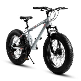CARPAT SPORT Fahrräder Velors 20 Zoll Fatbike Mountainbike | Shimano 21 Gang-Schaltung, 4.0 fette Reifen Fahrrad, Doppelscheibenbremsen, Fahrrad geeignet für Mädchen Jungen -Grau