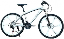 WSJYP Fahrräder WSJYP 26-Zoll-Mountainbike für Erwachsene, Mountainbike aus Kohlenstoffstahl, MTB-Scheibenbremse mit 21-Gang-Vollfederung, Silver