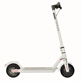 Charger Electric Scooter Charger C1 350w Electric Scooter 25kph Top Speed Smartphone APP 8" Wheels