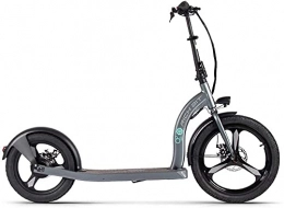 RICH BIT Electric Scooter RICH BIT Electric Scooter, 36V 350W Brushless Motor Scooter, Front Tire 20" Rear Tire 16" Adult Electric Scooter (Gray)
