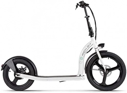 RICH BIT Scooter RICH BIT Electric Scooter, 36V 350W Brushless Motor Scooter, Front Tire 20" Rear Tire 16" Adult Electric Scooter (White)