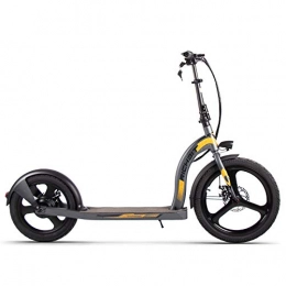 RICH BIT Scooter RICH BIT H100 Electric Kick Scooter 36V 350W 10.2Ah 20-16 inch Foldable City Scooter for Adults and Children (grey)