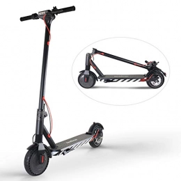Windlinks electric scooter