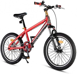 FEE-ZC Vélo portatif Universel 24 Vitesses pliez la Bicyclette 20 Pouces avec Le Frein à Disque pour l'adulte