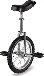 JINCAN Monocycles JINCAN Broche de roue de 24 pouces, monocycle débutant, sports de plein air pour enfants et adultes, sports de plein air et exercices de fitness (Couleur : Noir)