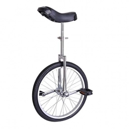 lilizhang Monocycles lilizhang 20" / 24" Formateur de Roue monocycle 2.125"Exercice DE CYCLANGE DE VA DE Voyage des PNEUBLES DE MONTYLES DE MONTYLES (Color : Silver, Size : 24")