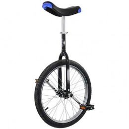 LPsweet vélo LPsweet Formateur Monocycle, 20" Skidproof Butyl Pneus Mountain Équilibre Cyclisme Exercice Argent Enfants Adultes Monocycle Sports De Plein Air Voiture Fitness Exercice