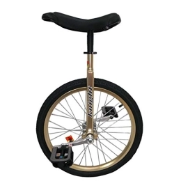 JLXJ Monocycles Monocycle 20" / 24" Monocycle d'or pour Big Kid / Ados / Adultes / Femelle Mâle, pour Le Fitness Exercice Débutant, Roue Antidérapante Vélo de Jante en Alliage (Size : 20inch)