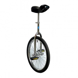 Passe Passe vélo Monocycle Passepasse Luxe Design 18 Pouces (45cm) Vélo Une Roue. Recommandé Pour 11 à12 Ans.