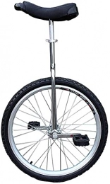 Y DWAYNE 20 Pouces monocycle vélo vélo de Montagne avec pédale et Support de Jante en Alliage antidérapant,vélos de Cyclisme Exercice de Remise en Forme pour Les Sports de Plein air