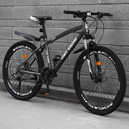 DFSSD vélo Adulte VTT, Plein Air Sport Hardtail Mountain Bikes Vélo Route, Double Frein À Disque Pays Gearshift Vélo, Gray 21 Speed, 24 inches