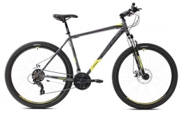breluxx Vélos de montagnes breluxx® VTT 29" D2 Hardtail FS Oxygen Sport, 21 vitesses Shimano, couleur argentée, jaune mat.