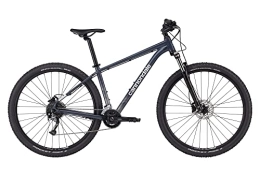 Cannondale vélo Cannondale Trail 6 29" - Slate Gray, Taille XL