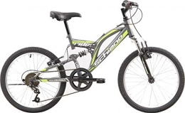 Schiano vélo Schiano Rider Eco 20 Pouces 35 cm Garon 6SP V-Brake Anthracite / Vert
