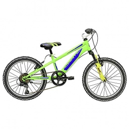 Cicli Adriatica Vélos de montagnes Vélo Rock 20 pour enfant de Cycles Adriatique avec fourche avant Amortisseur, Verde - Blu